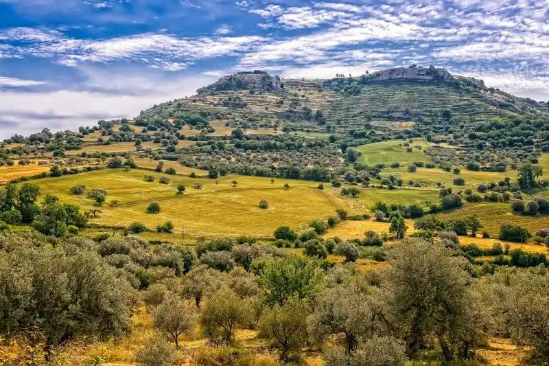 Paisaje rural con campos cultivados, árboles dispersos y montañas al fondo