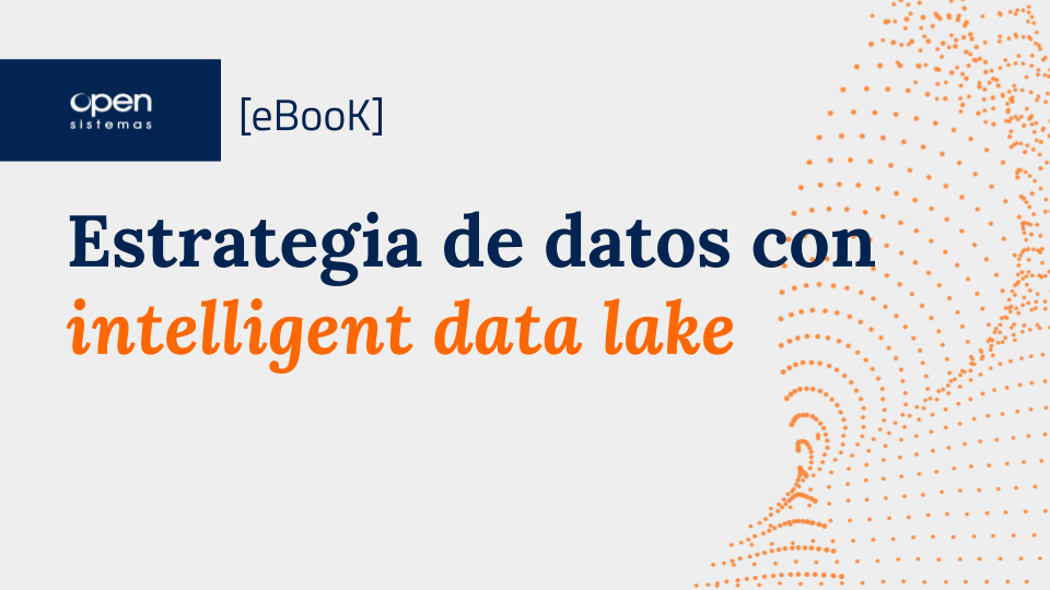 intelligent data lake 1