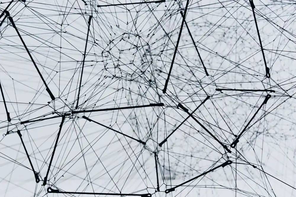 Paso a paso: entrenamiento de la red Neuronal YOLOv8 con anylabeling 6 muchas redes conectadas, o red neuronal