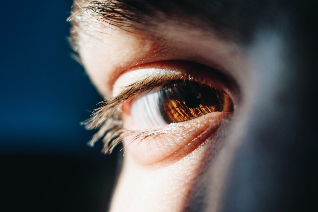 bacila vlad WTThc6UmwEI unsplash