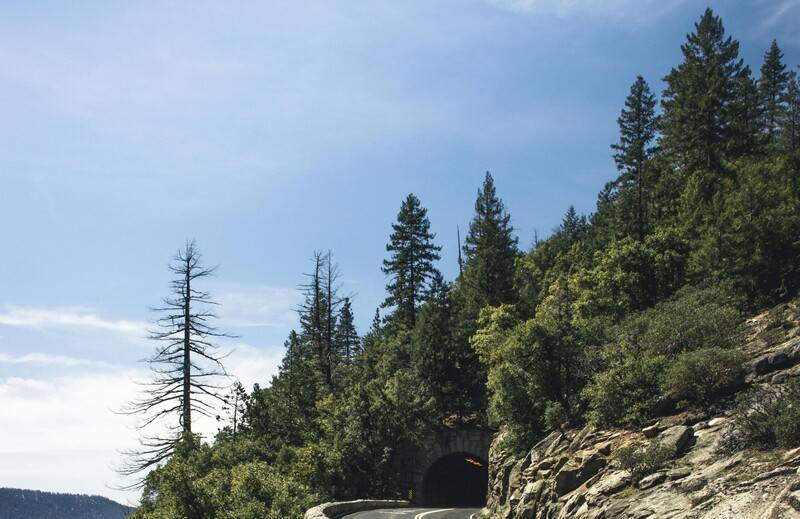 ¿Qué son los Bots? La alianza con IA para el éxito empresarial 2 Entrada a un túnel en una carretera rodeada de árboles como metáfora del avance de los bots de IA y la automatización inteligente