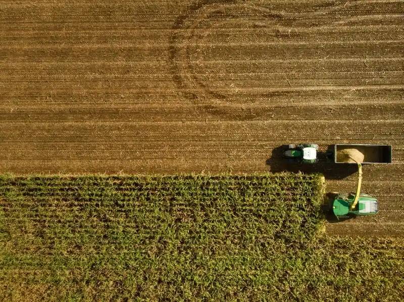 Agritech e IA: visión artificial y middleware SofIA como núcleo de la innovación agrícola