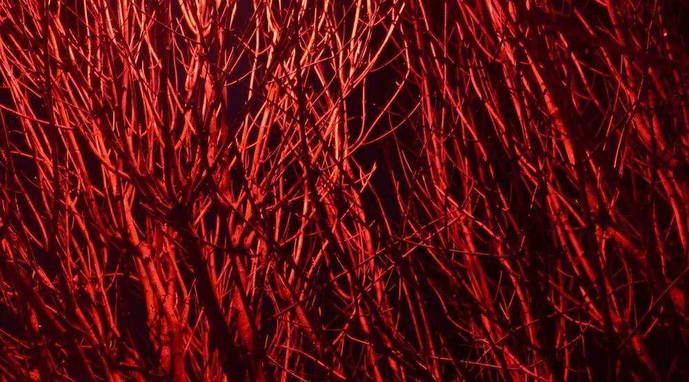 Arquitectura de hiperautomatización basada en agentes