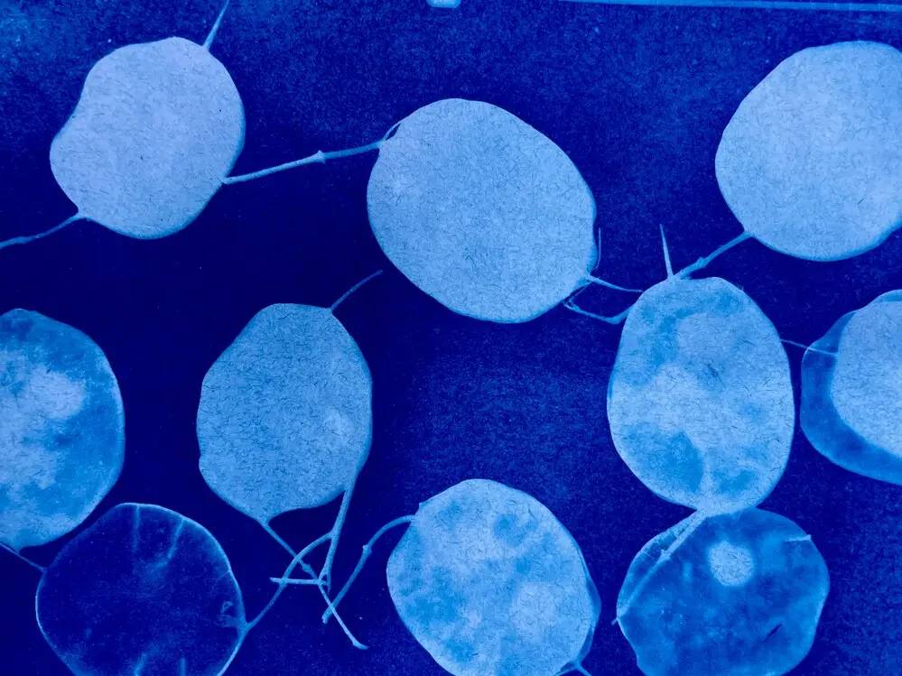 Inteligencia de negocios e IA: por qué la integración importa más que la sustitución 3 Arquitectura de datos en inteligencia de negocios